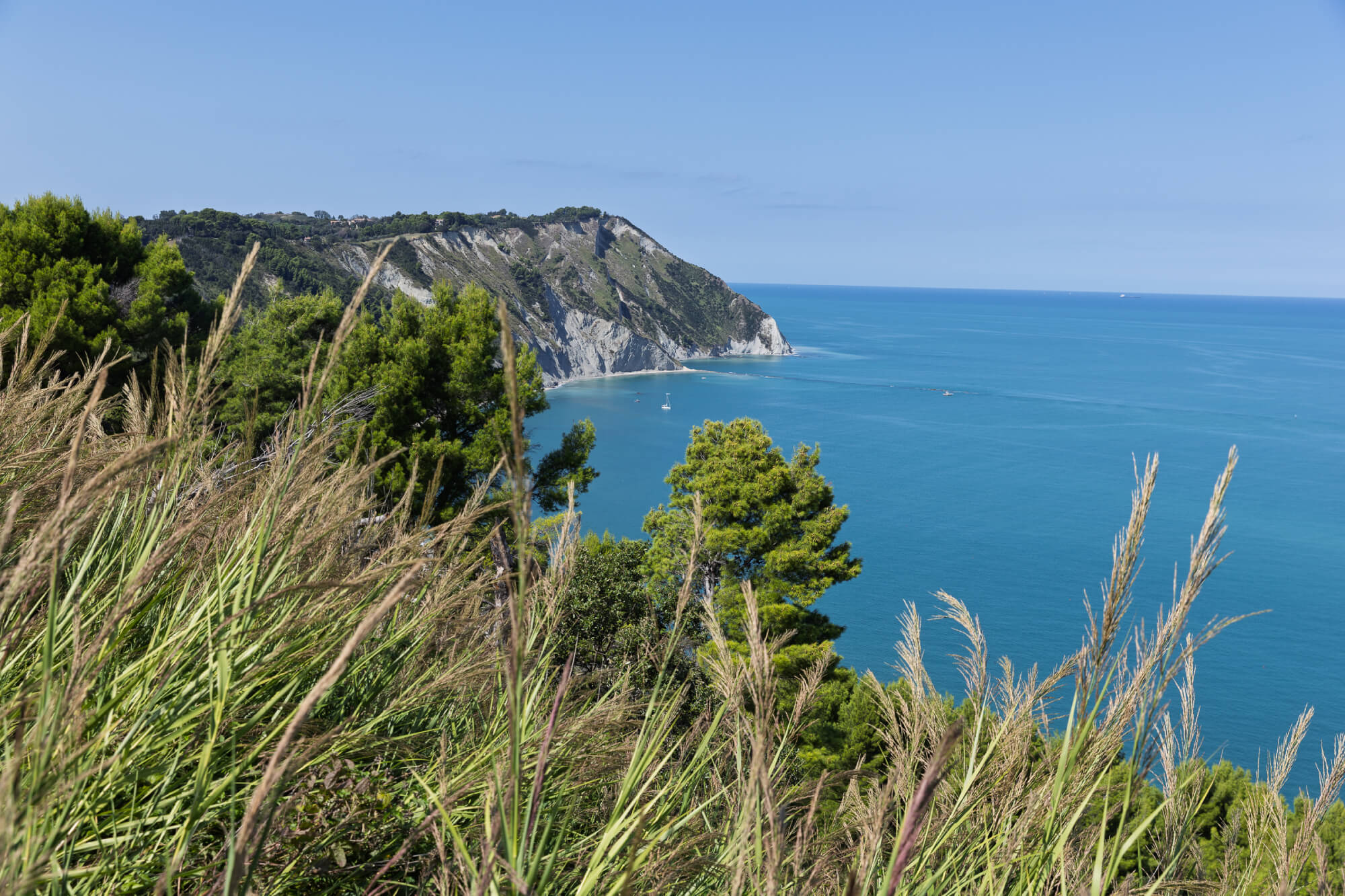 Immobiliare Prima Real Estate
