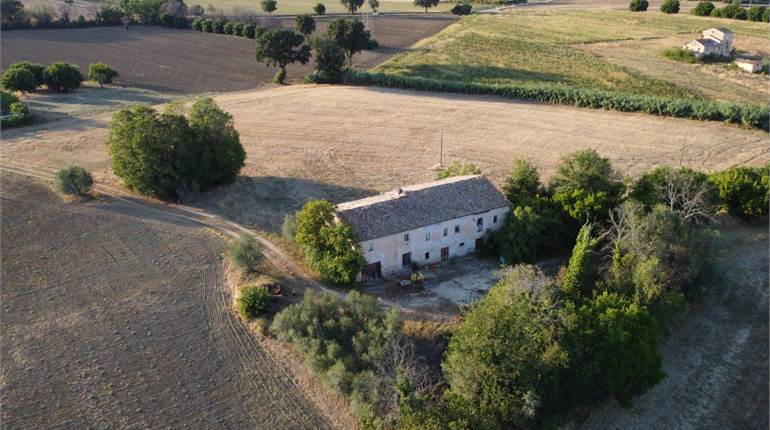 243SC-1 Colonica con giardino e terreno agricolo 