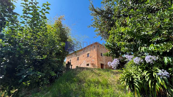 Casale con terreno agricolo