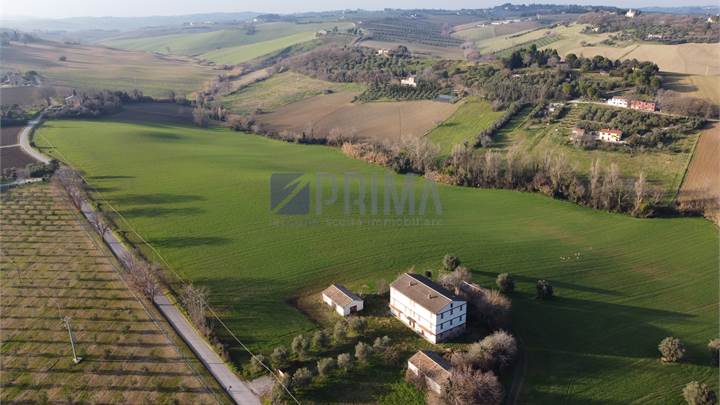 Jesi, Terreno agricolo di 14,4 ha con rudere e 3 magazzini agricoli 