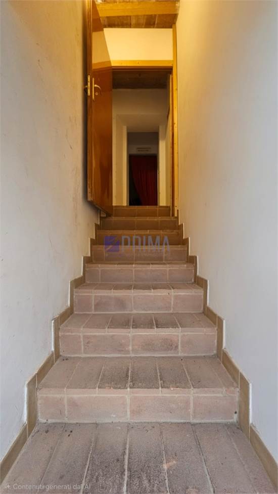 INGRESSO