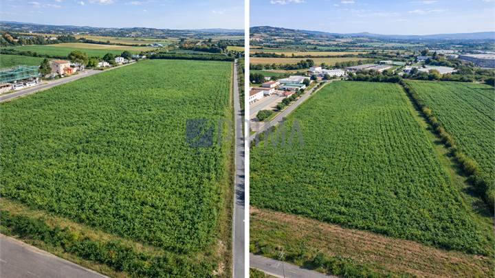 Terreno edificabile produttivo in vendita a Campocavallo