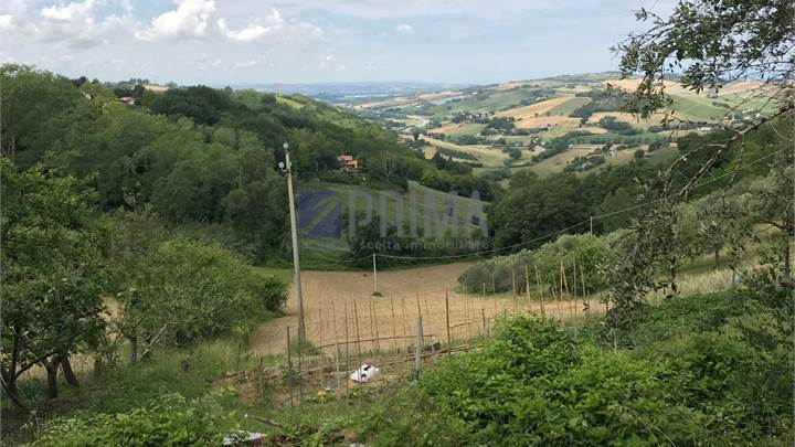 Terreno agricolo con unità abitativa e magazzino