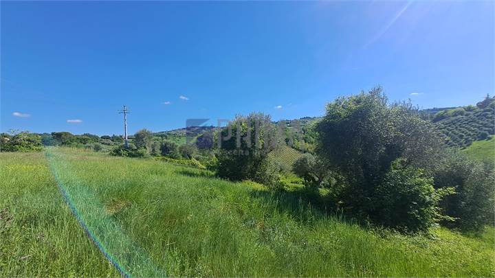 Terreno agricolo con magazzino