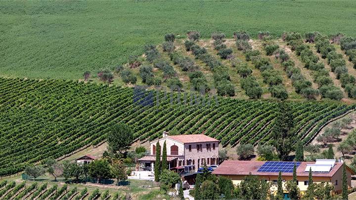 Casale ristrutturato con piscina e Cantina Vinicola