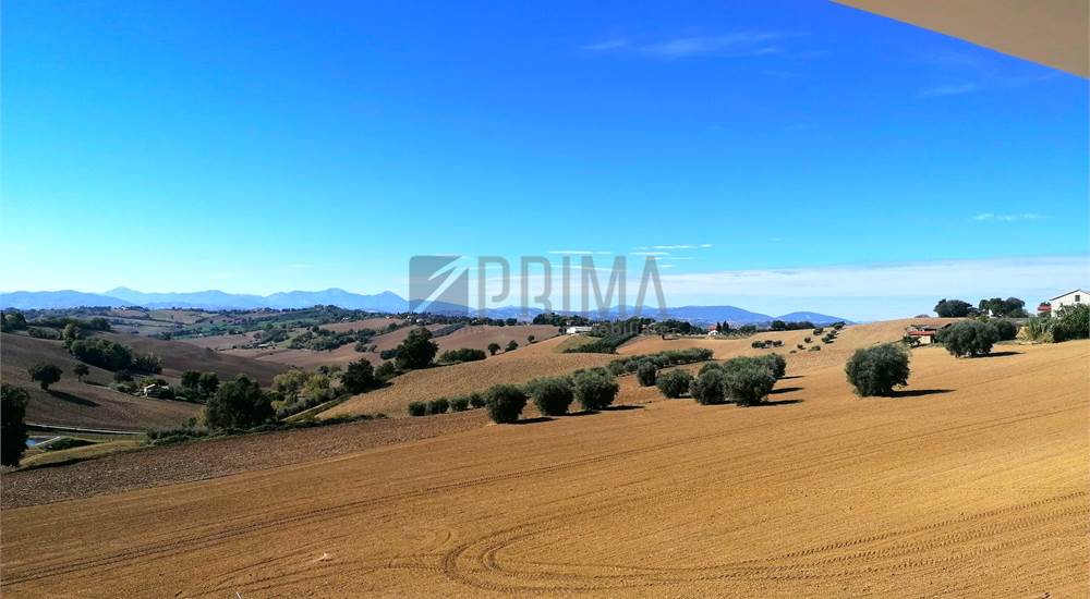 Vista sulle colline e Sibillini